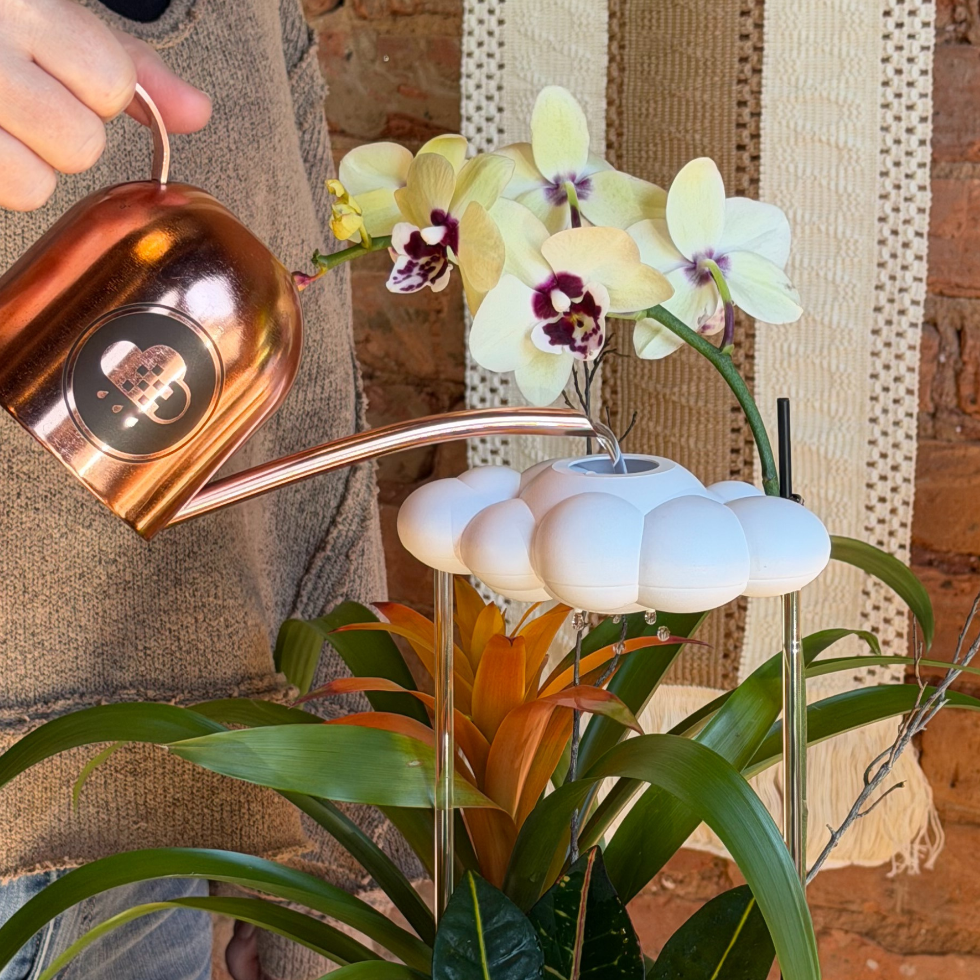 Original Dripping Rain Cloud